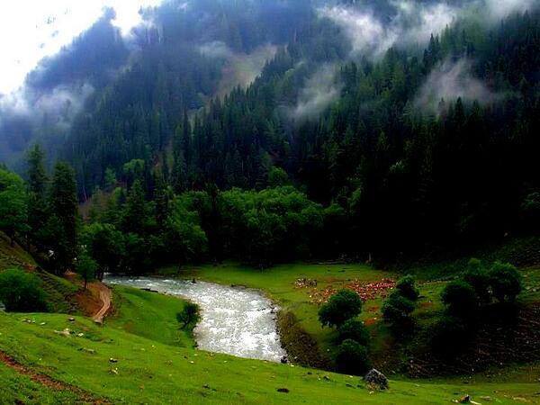 15- Neelum Valley, Azad Kashmir.jpg
